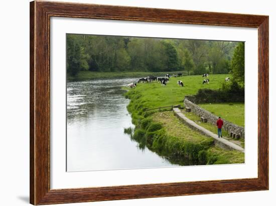 Countryside, County Kilkenny, Leinster, Republic of Ireland (Eire), Europe-Nico Tondini-Framed Photographic Print