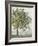 Countryside Growth - Thrive-Mark Chandon-Framed Giclee Print