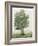 Countryside Growth - Wild-Mark Chandon-Framed Giclee Print