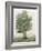 Countryside Growth - Wild-Mark Chandon-Framed Giclee Print