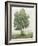 Countryside Growth - Wild-Mark Chandon-Framed Giclee Print