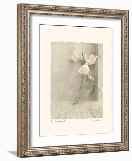 Countryside II-Amy Melious-Framed Art Print