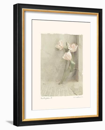 Countryside II-Amy Melious-Framed Art Print