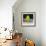 Countryside II-Ynon Mabat-Framed Art Print displayed on a wall