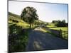 Countryside in Langstrothdale, Yorkshire Dales National Park, Yorkshire, England, United Kingdom-Patrick Dieudonne-Mounted Photographic Print