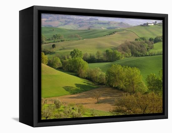 Countryside in Val d'Orcia-Dennis Degnan-Framed Premier Image Canvas