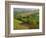 Countryside in Val d'Orcia-Dennis Degnan-Framed Photographic Print