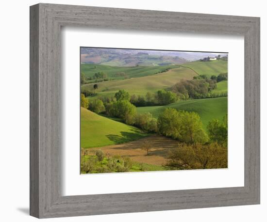 Countryside in Val d'Orcia-Dennis Degnan-Framed Photographic Print