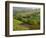 Countryside in Val d'Orcia-Dennis Degnan-Framed Photographic Print