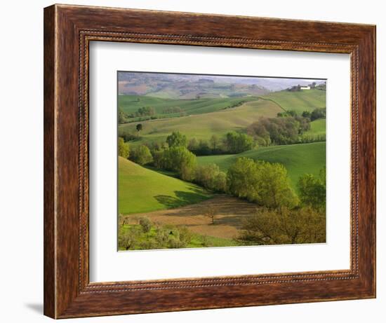 Countryside in Val d'Orcia-Dennis Degnan-Framed Photographic Print