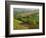 Countryside in Val d'Orcia-Dennis Degnan-Framed Photographic Print