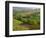 Countryside in Val d'Orcia-Dennis Degnan-Framed Photographic Print