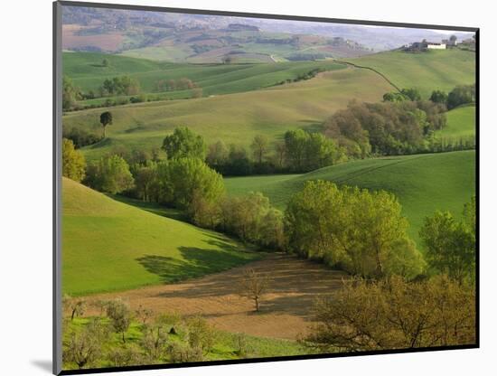 Countryside in Val d'Orcia-Dennis Degnan-Mounted Photographic Print