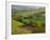 Countryside in Val d'Orcia-Dennis Degnan-Framed Photographic Print