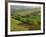 Countryside in Val d'Orcia-Dennis Degnan-Framed Photographic Print