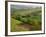 Countryside in Val d'Orcia-Dennis Degnan-Framed Photographic Print