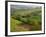 Countryside in Val d'Orcia-Dennis Degnan-Framed Photographic Print