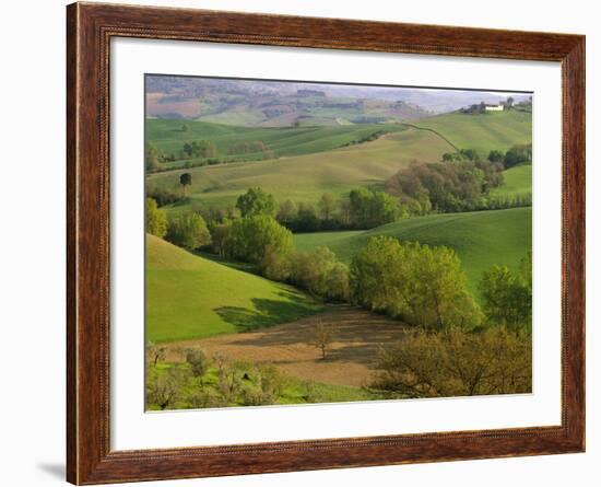 Countryside in Val d'Orcia-Dennis Degnan-Framed Photographic Print