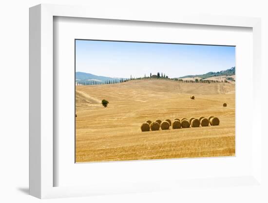 Countryside Near Gallina, Siena Province, Tuscany, Italy-Nico Tondini-Framed Photographic Print