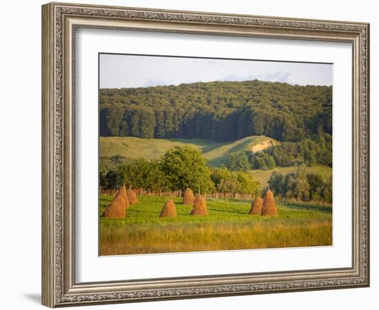 Countryside Near Guru Humorului, Bucovina, Romania, Europe-Marco Cristofori-Framed Photographic Print