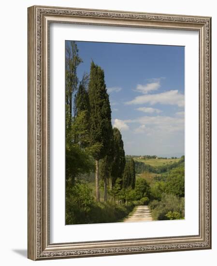 Countryside Near Montepulciano, Val D'Orcia, Siena Province, Tuscany, Italy, Europe-Pitamitz Sergio-Framed Photographic Print