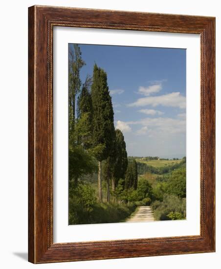 Countryside Near Montepulciano, Val D'Orcia, Siena Province, Tuscany, Italy, Europe-Pitamitz Sergio-Framed Photographic Print
