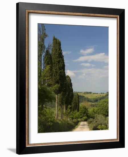 Countryside Near Montepulciano, Val D'Orcia, Siena Province, Tuscany, Italy, Europe-Pitamitz Sergio-Framed Photographic Print