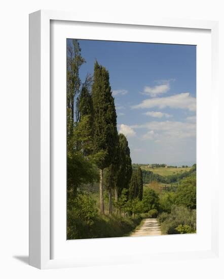 Countryside Near Montepulciano, Val D'Orcia, Siena Province, Tuscany, Italy, Europe-Pitamitz Sergio-Framed Photographic Print