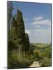 Countryside Near Montepulciano, Val D'Orcia, Siena Province, Tuscany, Italy, Europe-Pitamitz Sergio-Mounted Photographic Print