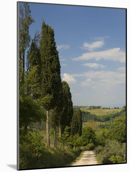 Countryside Near Montepulciano, Val D'Orcia, Siena Province, Tuscany, Italy, Europe-Pitamitz Sergio-Mounted Photographic Print