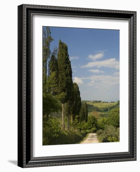 Countryside Near Montepulciano, Val D'Orcia, Siena Province, Tuscany, Italy, Europe-Pitamitz Sergio-Framed Photographic Print