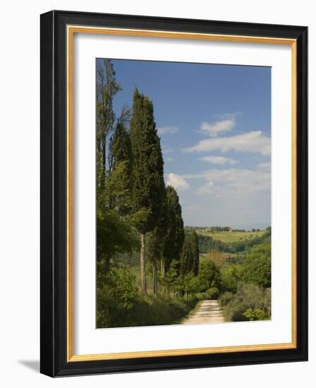 Countryside Near Montepulciano, Val D'Orcia, Siena Province, Tuscany, Italy, Europe-Pitamitz Sergio-Framed Photographic Print