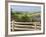 Countryside near New Glascow, Prince Edward Island, Canada-Julie Eggers-Framed Photographic Print