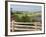 Countryside near New Glascow, Prince Edward Island, Canada-Julie Eggers-Framed Photographic Print