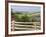 Countryside near New Glascow, Prince Edward Island, Canada-Julie Eggers-Framed Photographic Print