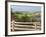 Countryside near New Glascow, Prince Edward Island, Canada-Julie Eggers-Framed Photographic Print