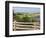 Countryside near New Glascow, Prince Edward Island, Canada-Julie Eggers-Framed Photographic Print