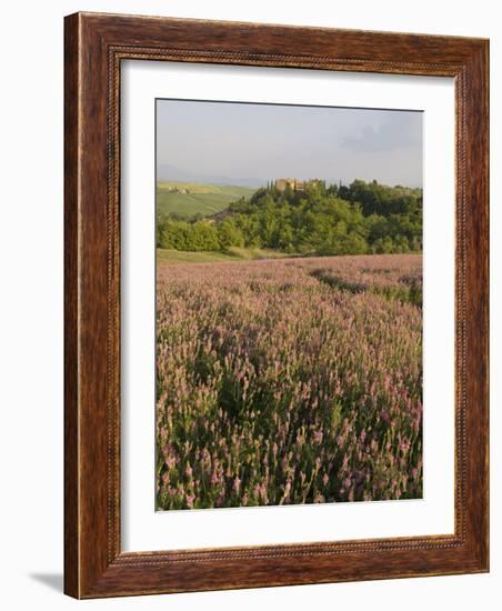 Countryside Near Pienza. Val D'Orcia, Siena Province, Tuscany, Italy, Europe-Pitamitz Sergio-Framed Photographic Print