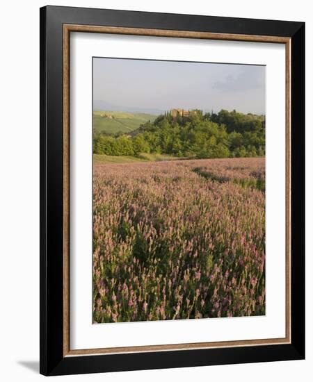 Countryside Near Pienza. Val D'Orcia, Siena Province, Tuscany, Italy, Europe-Pitamitz Sergio-Framed Photographic Print