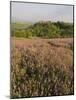 Countryside Near Pienza. Val D'Orcia, Siena Province, Tuscany, Italy, Europe-Pitamitz Sergio-Mounted Photographic Print