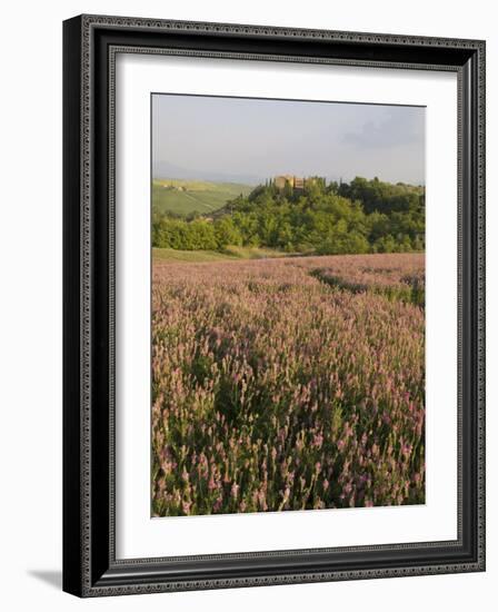 Countryside Near Pienza. Val D'Orcia, Siena Province, Tuscany, Italy, Europe-Pitamitz Sergio-Framed Photographic Print