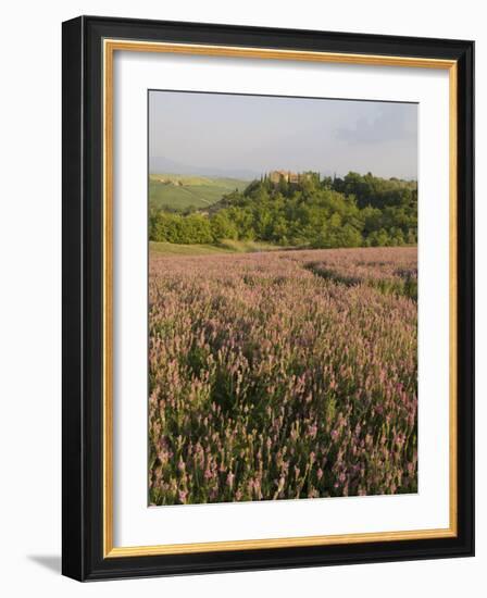 Countryside Near Pienza. Val D'Orcia, Siena Province, Tuscany, Italy, Europe-Pitamitz Sergio-Framed Photographic Print