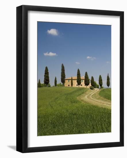 Countryside Near Pienza, Val D'Orcia, Siena Province, Tuscany, Italy, Europe-Pitamitz Sergio-Framed Photographic Print