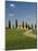 Countryside Near Pienza, Val D'Orcia, Siena Province, Tuscany, Italy, Europe-Pitamitz Sergio-Mounted Photographic Print