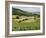 Countryside Near St. Jean Pied De Port, Basque Country, Pyrenees-Atlantiques, Aquitaine, France-R H Productions-Framed Photographic Print