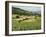 Countryside Near St. Jean Pied De Port, Basque Country, Pyrenees-Atlantiques, Aquitaine, France-R H Productions-Framed Photographic Print