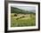 Countryside Near St. Jean Pied De Port, Basque Country, Pyrenees-Atlantiques, Aquitaine, France-R H Productions-Framed Photographic Print