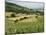 Countryside Near St. Jean Pied De Port, Basque Country, Pyrenees-Atlantiques, Aquitaine, France-R H Productions-Mounted Photographic Print