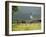 Countryside Near St. Jean Pied De Port, Basque Country, Pyrenees-Atlantiques, Aquitaine, France-R H Productions-Framed Photographic Print