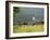 Countryside Near St. Jean Pied De Port, Basque Country, Pyrenees-Atlantiques, Aquitaine, France-R H Productions-Framed Photographic Print